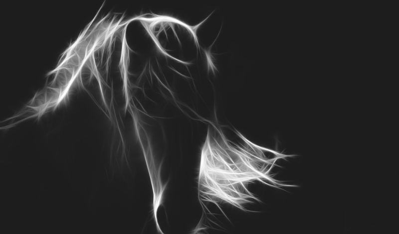 Mykotoxine im Pferdedarm – das stille Risiko im Heu (3/5)