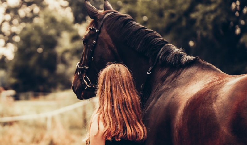 🐴 Das Pferd verstehen — Warum Pferde fühlen, lernen und handeln wie sie es tun