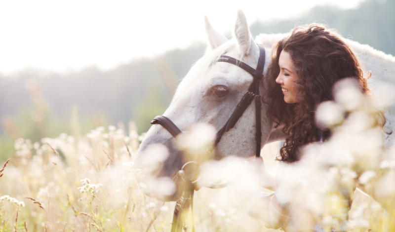 Zeolith für Pferde gut bei Kotwasser