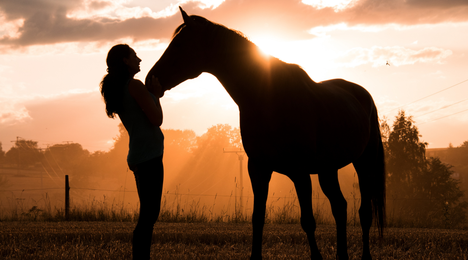 Pferd mit Reiterin in der Abendsonne - Koliken bei Pferden, Zeolith unterstützt