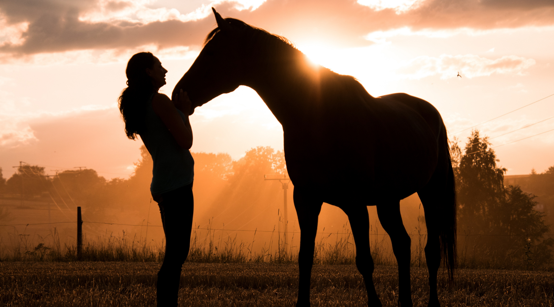 Pferd mit Reiterin in der Abendsonne - Koliken bei Pferden, Zeolith unterstützt