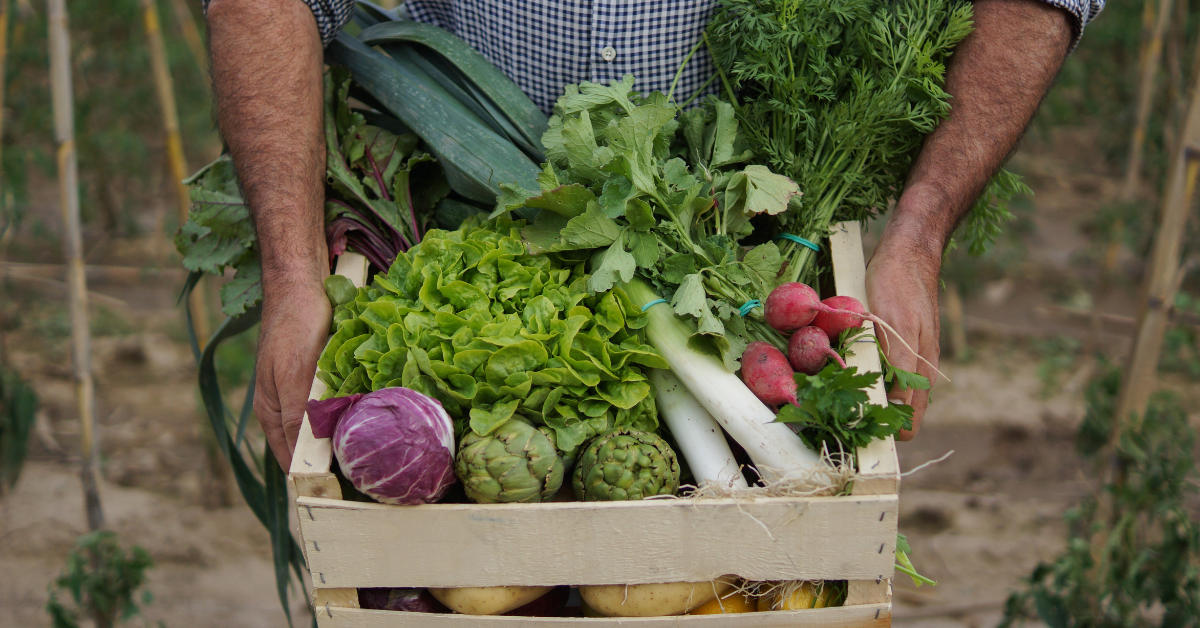Ein gesunder Garten mit natürlichen Produkten: Warum Sie auf Zeolith und Kalk setzen sollten