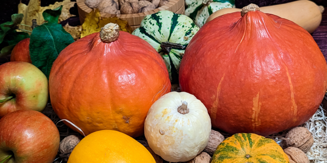 Der Kürbis — Arzneipflanze des Jahres, Herbstsymbol und unterschätztes Superfood