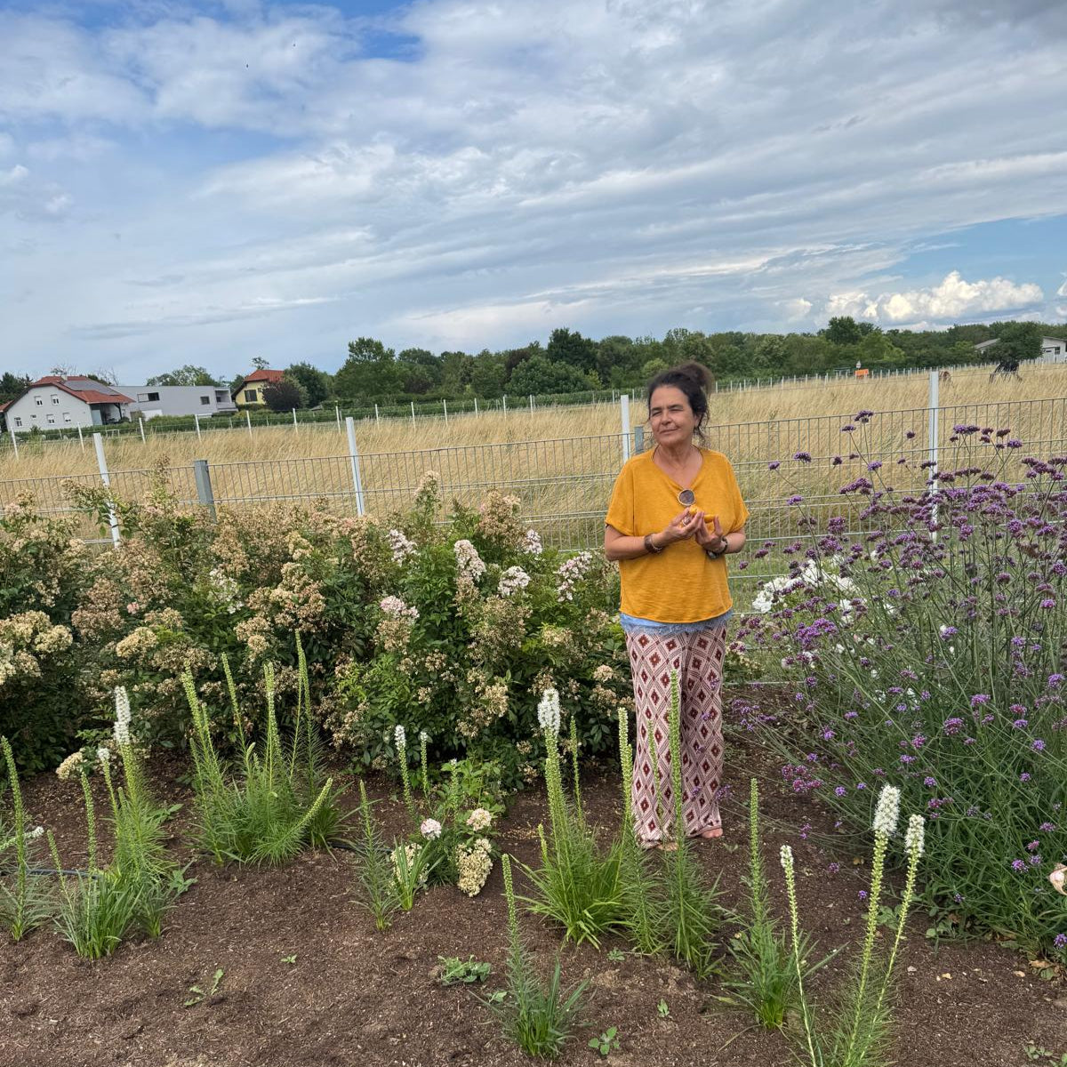 Zeolith im Boden: Studien zeigen bessere Wasserspeicherung bei Pflanzen