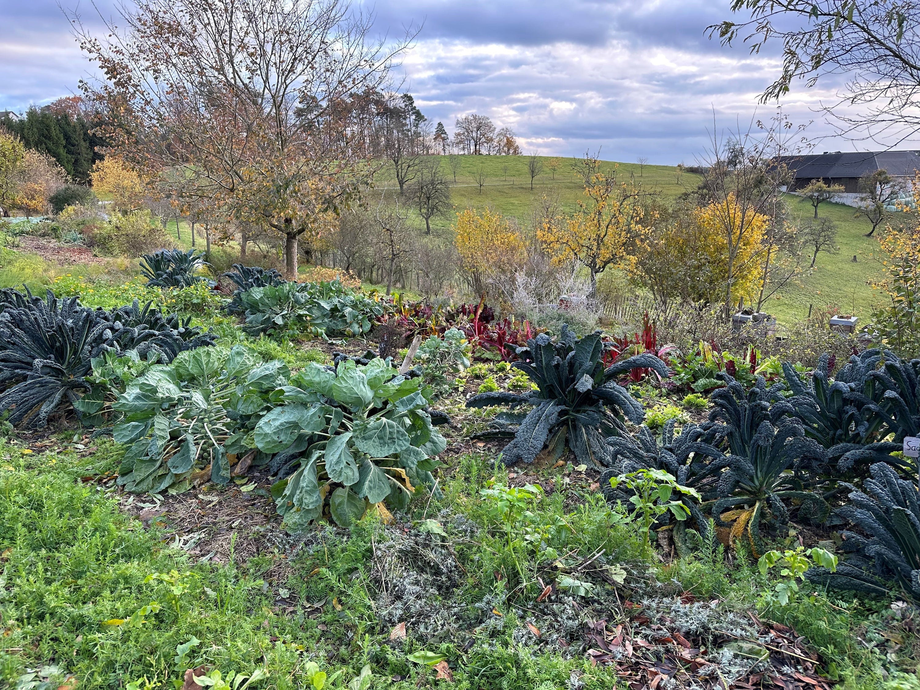 Brot aus Steinen – Julius Hensels Vision und warum mineralischer Dünger heute aktueller ist denn je