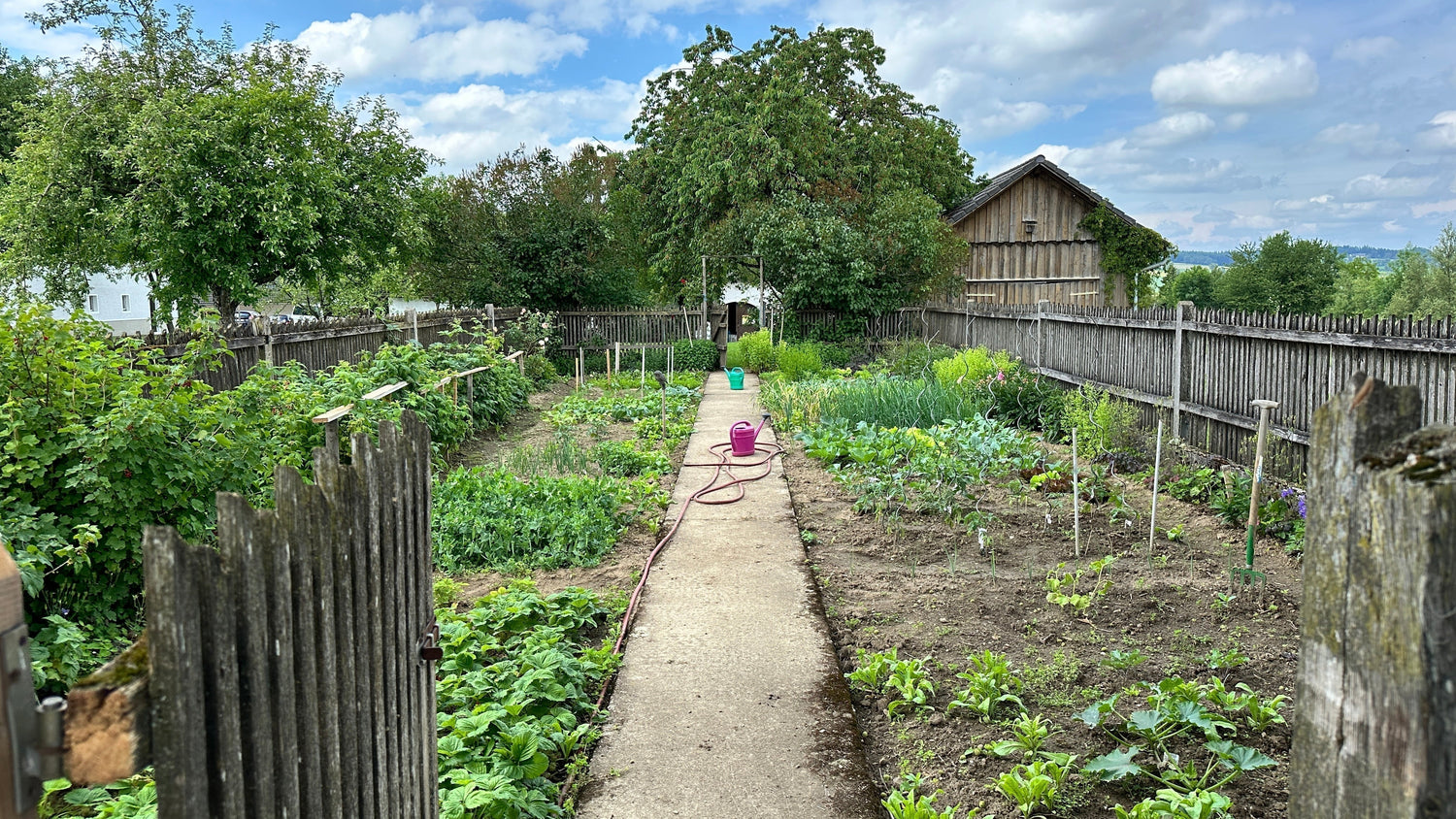 Studien zu Zeolith im Garten – Was sagt die Wissenschaft wirklich?
