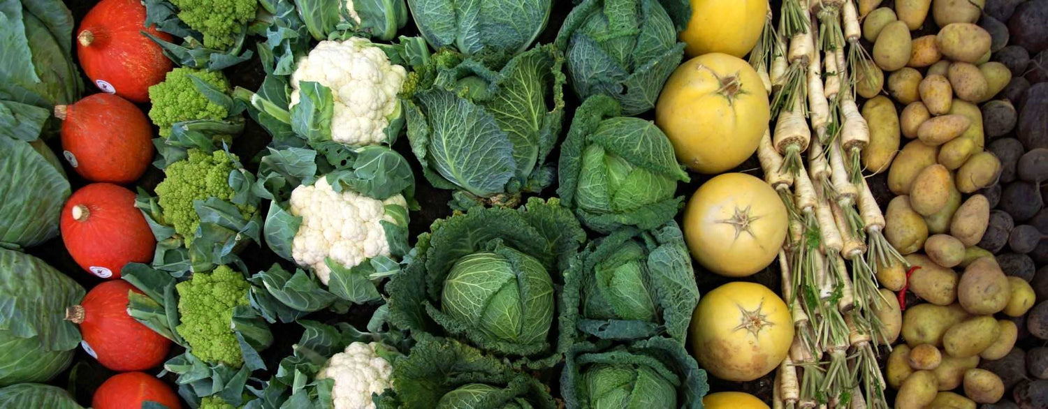 5 Anwendungen von Zeolith und AM+PLUS Mikroorganismen in der Landwirtschaft