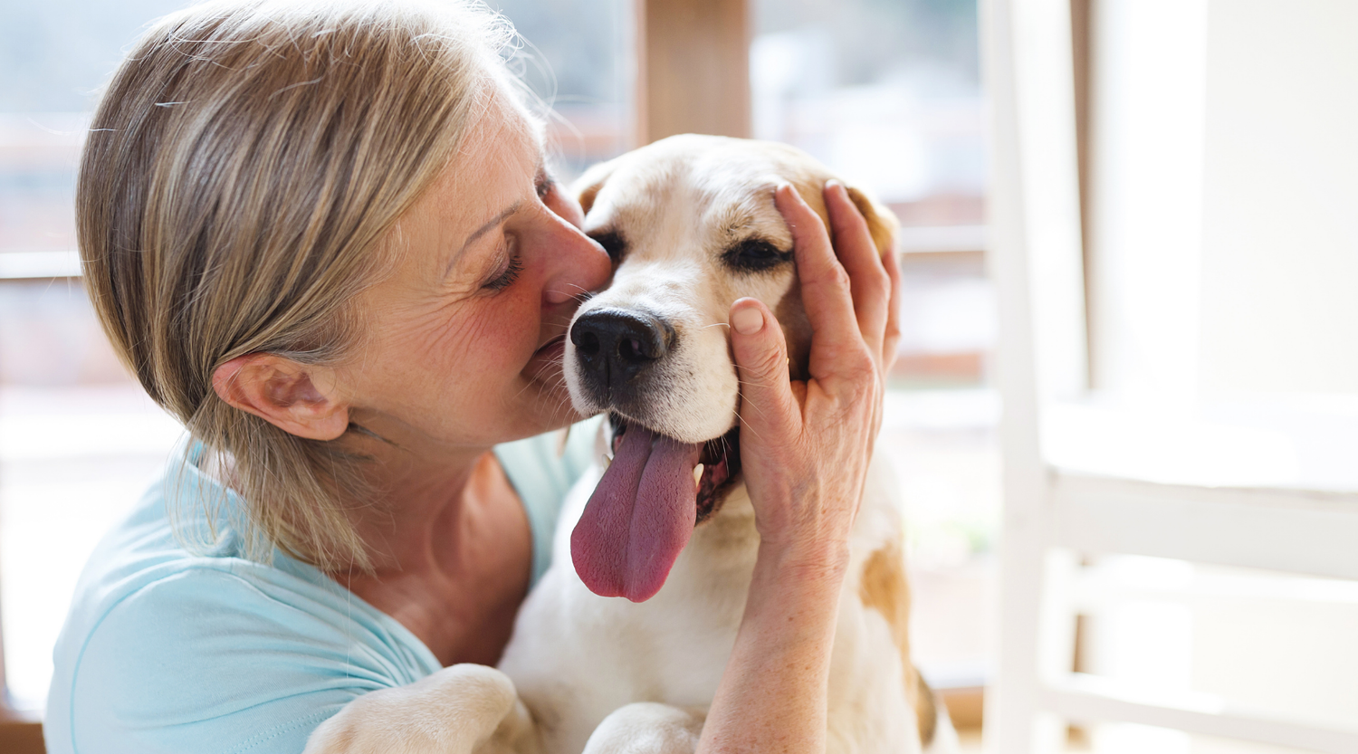 Fellwechsel beim Hund: Tipps für weniger Haare und gesundes Fell - Frau liebkost ihren Hund und unterstützt ihn sicherlich mit Zeolith ins Hundefutter dazu.