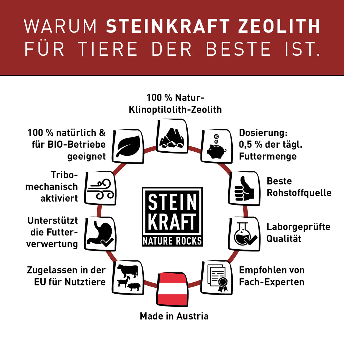 TIERKRAFT Zeolith Pulver