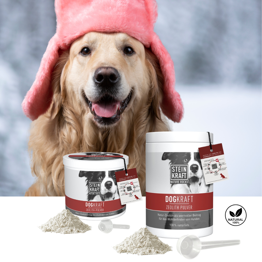 Steinkraft Zeolith für Hunde in 2 Größen 450g und 250g mit Messlöffel kaufen