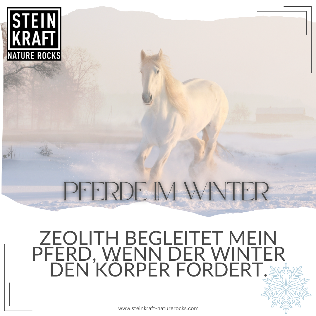 HORSEKRAFT Zeolith Pellets Pur Probe