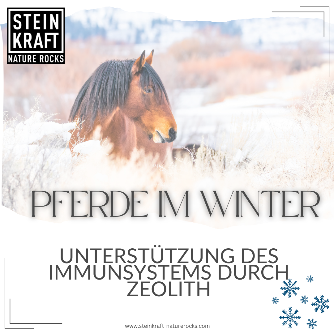 HORSEKRAFT Zeolith Pulver für Pferde