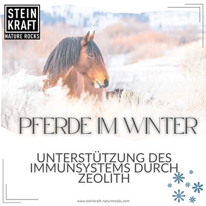 HORSEKRAFT Zeolith Pulver für Pferde