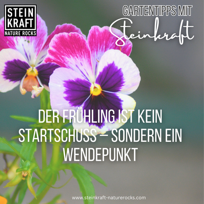 PURE SOIL POWER activated zeolite 5kg - powder