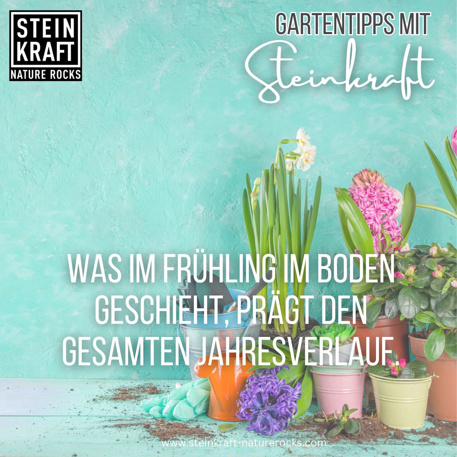 PURE SOIL POWER activated zeolite 5kg - powder