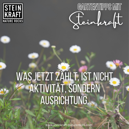 Mikroorganismen AM+PLUS Urlösung für Garten und Pflanzen