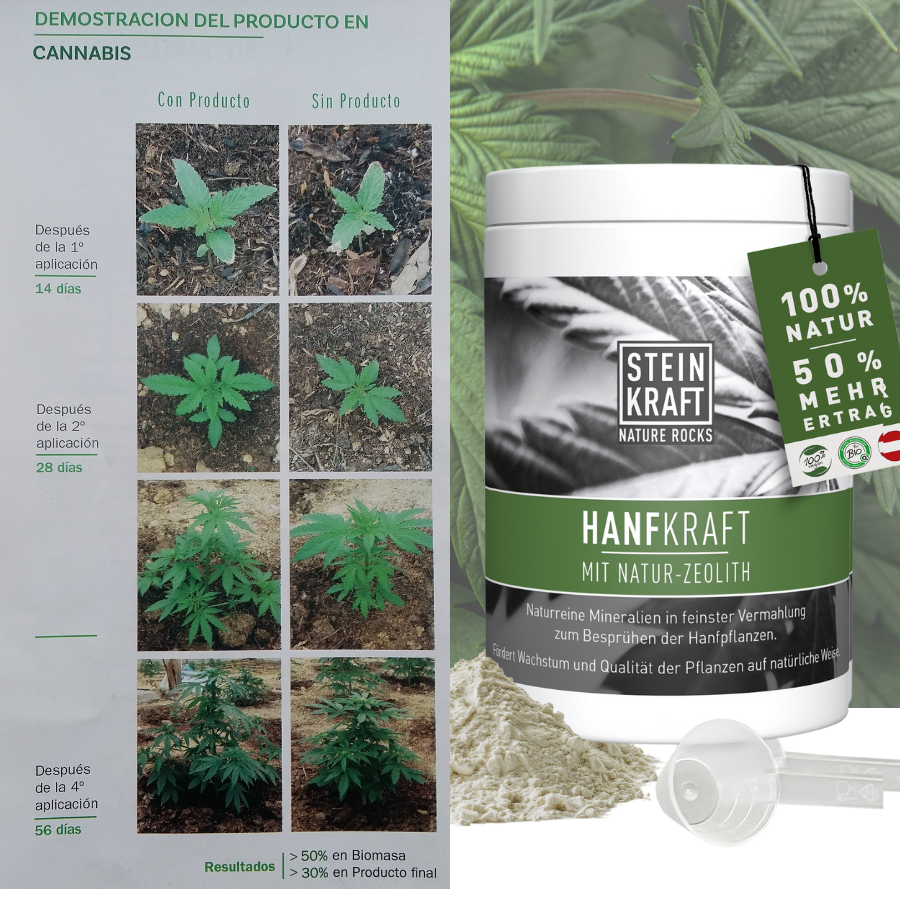 düngemittel cannabis Calcium und Silizium