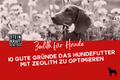 STEINKRAFT Zeolith für Hund Blogbeitrag: 10 gute Gründe das Hundefutter mit Zeolith zu optimieren.