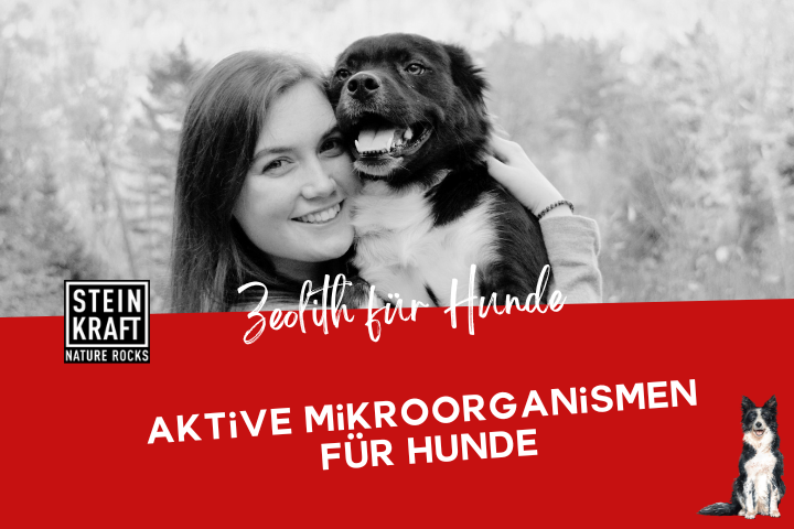 STEINKRAFT Zeolith für Hunde Blog: Aktive Mikroorganismen für Hunde