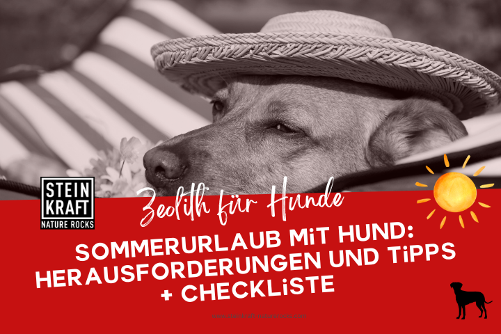 STEINKRAFT Zeolith für Hunde Blog: Sommerurlaub mit Hund: Herausforderungen und Tipps + Checkliste für einen gelungenen Urlaub mit Hund.