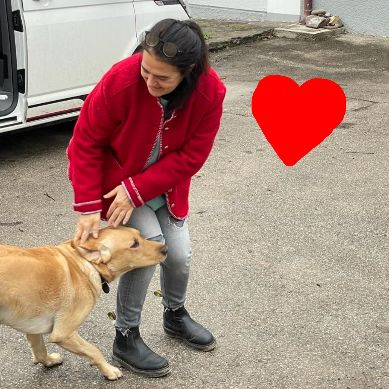 Labrador Retriever mit seinem Frauerl bekommt täglich Zeolith ins Hundefutter dazu zur Entgiftung.