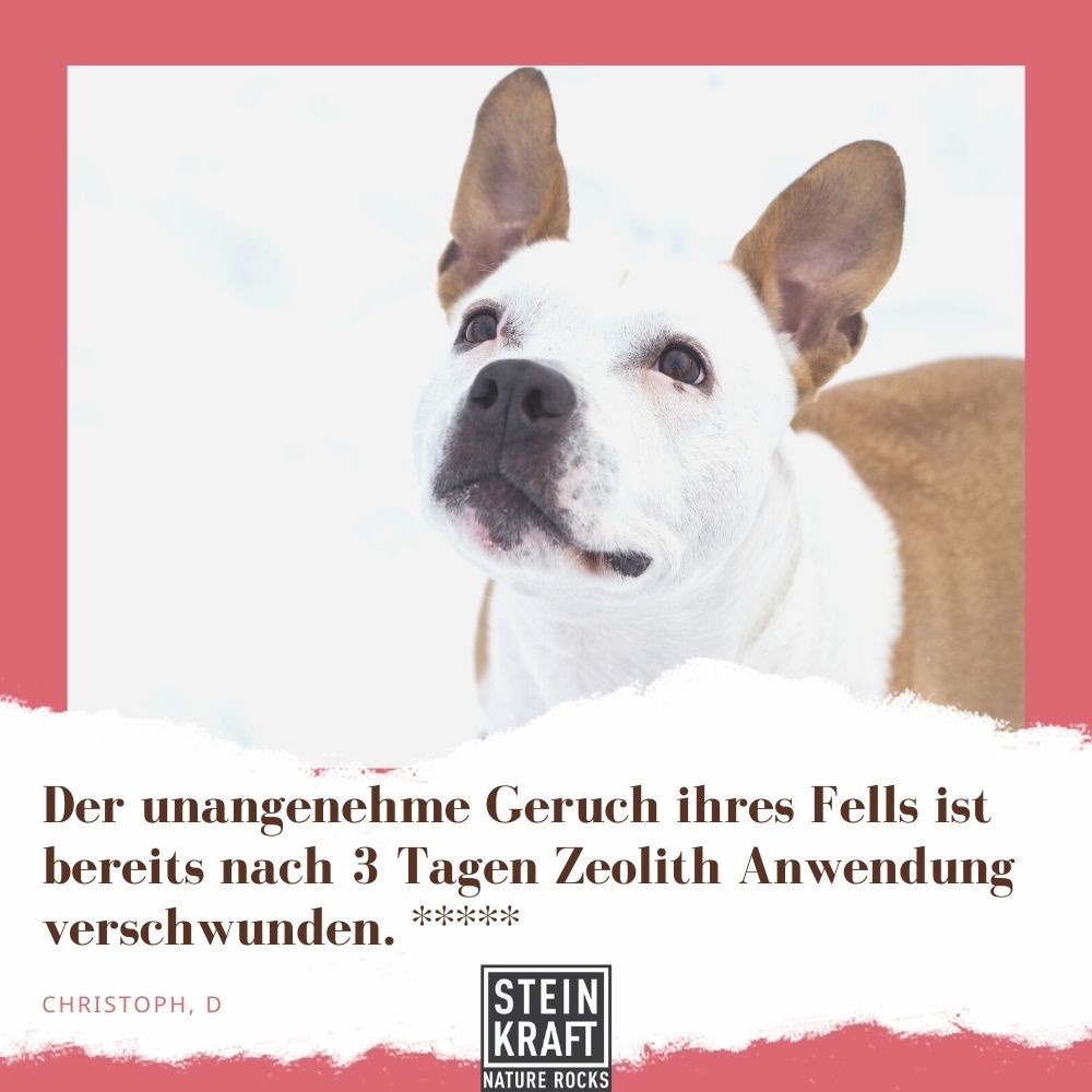 STEINKRAFT Zeolith für Hunde - Christoph D. sagt:"Der unangenehme Geruch ihres Fells ist bereits nach 3 Tagen Zeolith Anwendung verschwunden" und vergibt 5 Sterne.