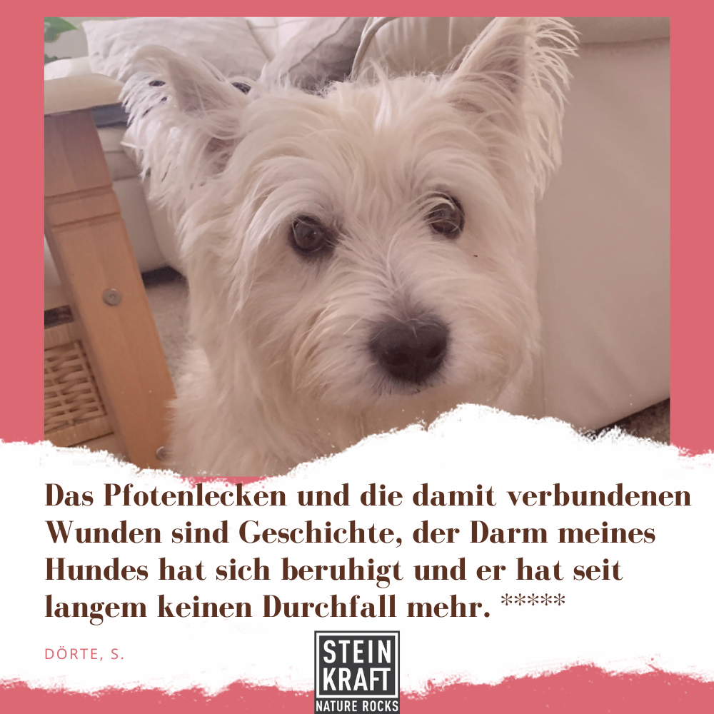 Kundenstimme zu Steinkraft Zeolith für Hunde: Das Pfotenlecken und die damit verbundenen Wunden sind Geschichte, der Darm meines Hundes hat sich beruhigt und er hat seit langem keinen Durchfall  mehr, sagt Dörte un d gibt dem Produkt 5 Sterne.