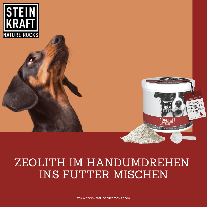 DOGKRAFT Zeolith Pulver im Handumdrehen ins Futter mischen