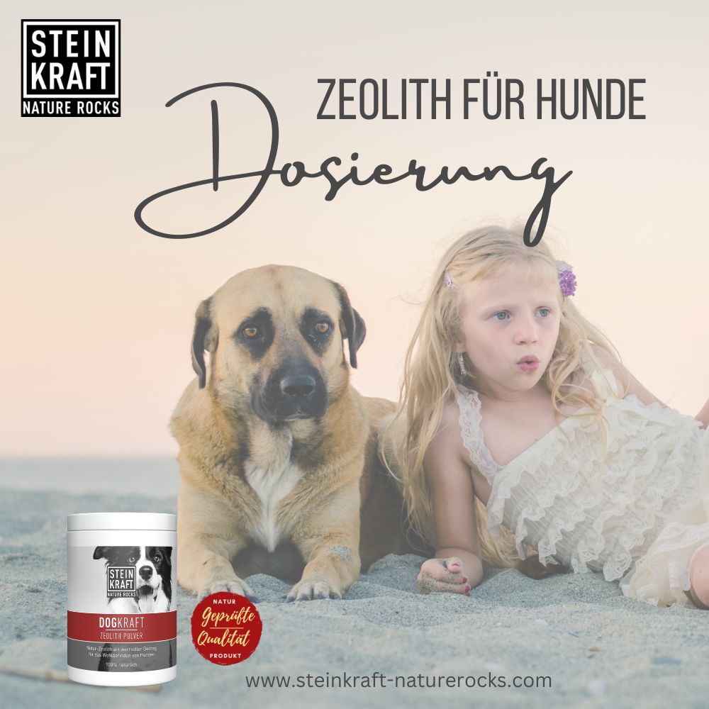 STEINKRAFT Zeolith für Hunde - hier geht es zur Dosierungsanleitung. Am Bild siehst du ein Mädchen neben einem Hund am Strand liegend und eine große Produktdose DOGKRAFT Zeolith für Hunde.