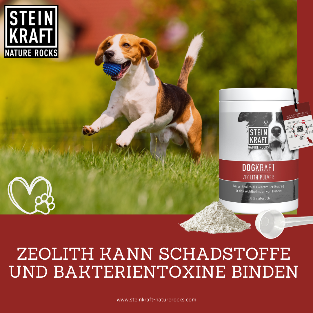 DOGKRAFT ZEOLITE for dogs
