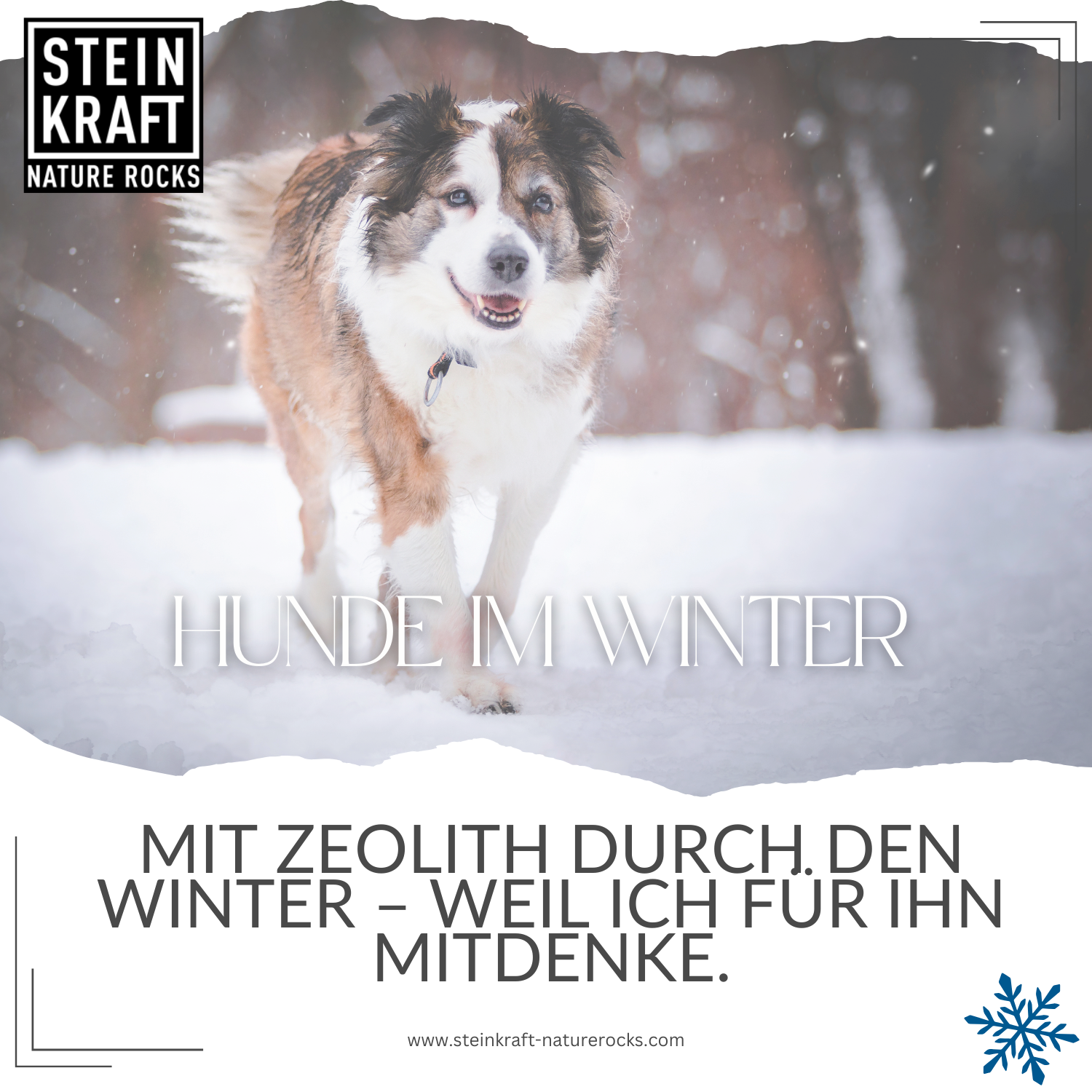 Steinkraft Zeolith für Hunde im Winter kaufen - Mit Zeolith durch den Winter - weil ich für ihn mitdenke.