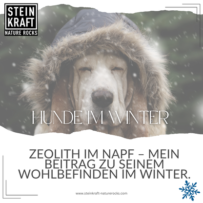 Steinkraft Zeolith für Hunde im Winter kaufen - Zeolith im Napf ist mein Beitrag zu seinem Wohlbefinden im Winter.