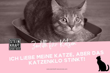 Zeolith für Katzen Blog: Ich liebe meine Katze, aber das Katzenklo stinkt.