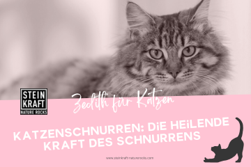 Zeolith für Katzen Blog: Katzenschnurren - die heilende Kraft des Schnurrens