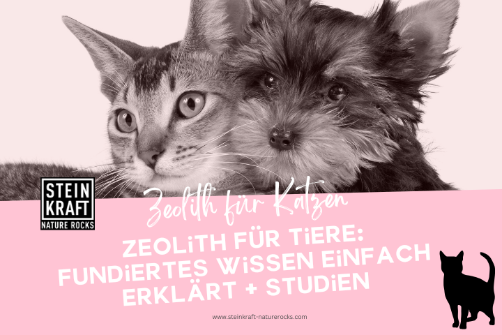 Zeolith für Katzen Blog: Fundiertes Wissen  über Zeolith einfach erklärt mit vielen Studien und Wirknachweisen