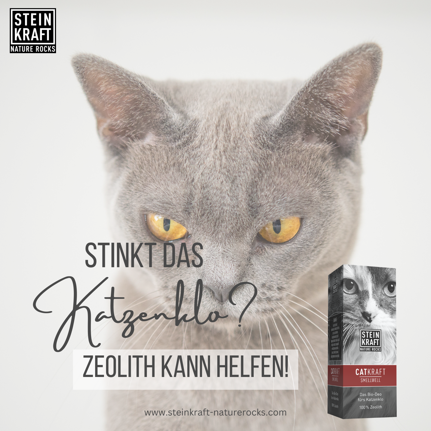 Stinkt das Katzenklo? Zeolith kann helfen