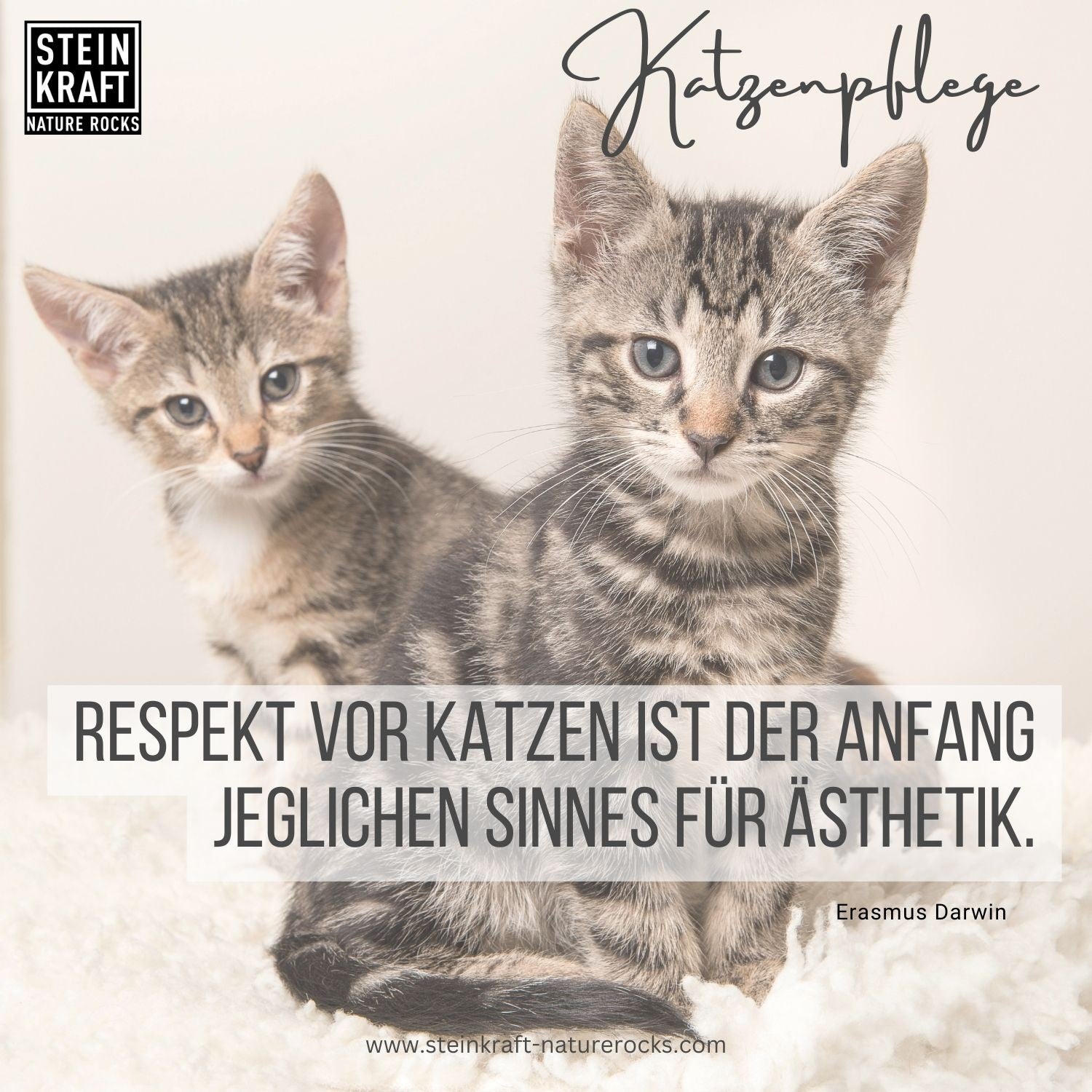 STEINKRAFT Zeolith für Katzen: "Respekt vor Katzen ist der Anfang jeglichen Sinnes für Ästhetik." Erasmus Darwin