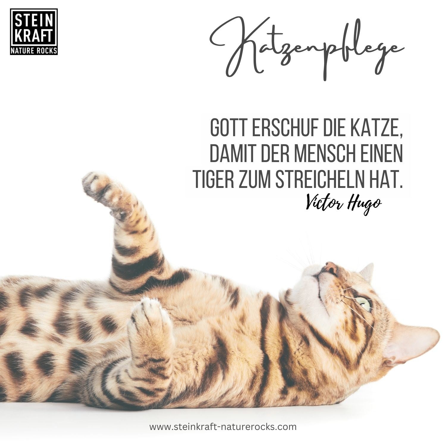 STEINKRAFT Zeolith für Katzen
"Gott erschuf die Katze.damit der Mensch einen Tiger zum Streicheln hat." Victor Hugo