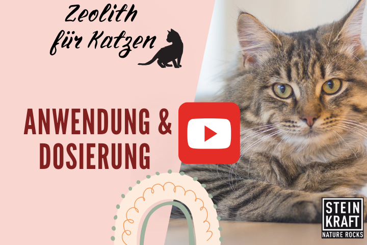Zeolith für Katzen Video: Anwendung und Dosierung sehr gut erklärt - Link zu Anwendungsvideo