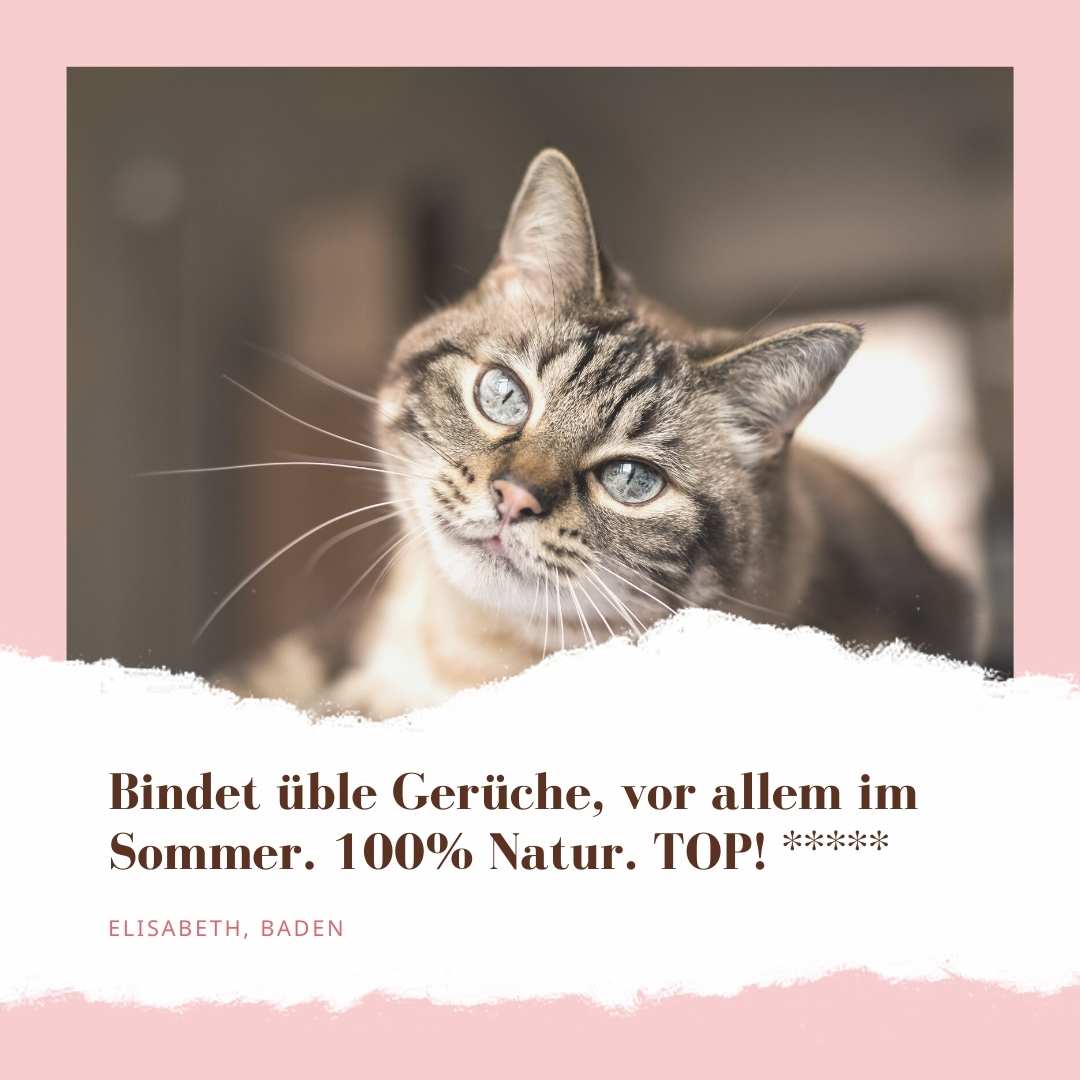 "Bindet üble Gerüche, vor allem im Sommer. 100% Natur. TOP!" Das STEINKRAFT SmellwellBioDeo fürs Katzenklo bekommt 5 Sterne von Elisabeth aus Baden