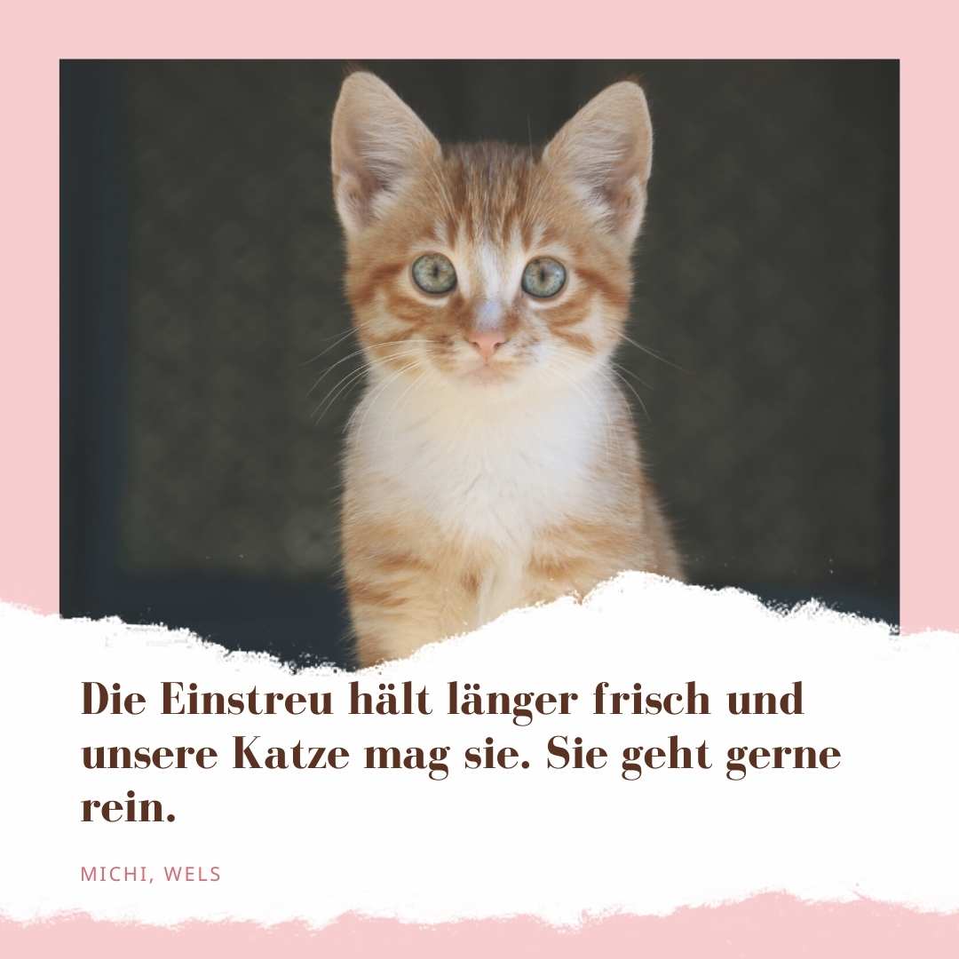 "Die Einstreu hält länger frisch und unsere Katze mag sie. Sie geht gerne rein." Das Produkt bekommt 5 Sterne von Michi aus Wels