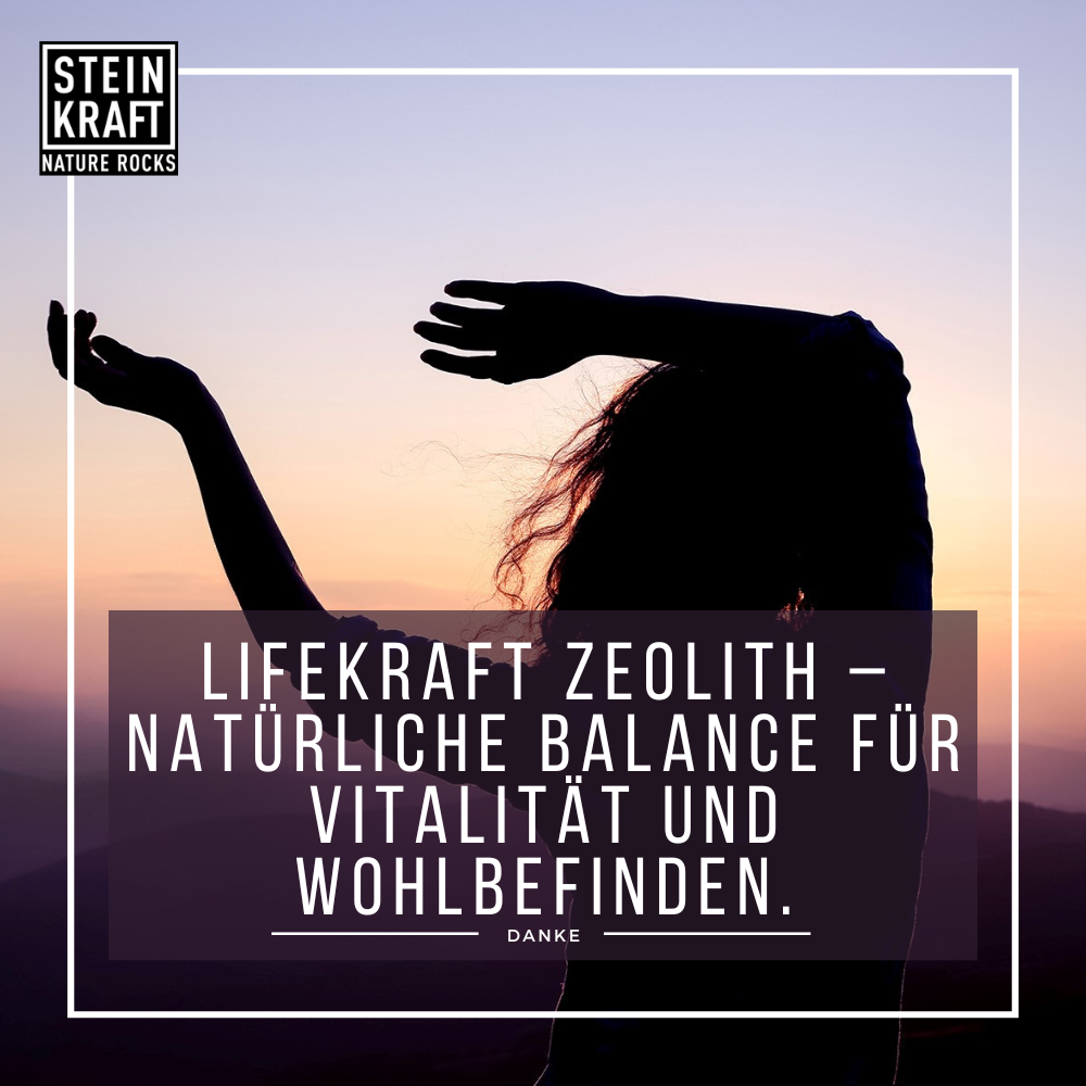 LIFEKRAFT 100% Zeolith 450g