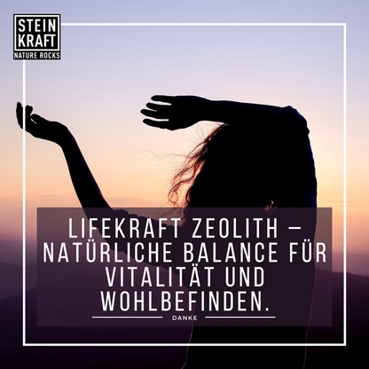 LIFEKRAFT 100% Zeolith 450g