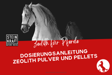 STEINKRAFT Zeolith für Pferde Blogartikel: Dosierungsanleitung für Zeolith Pulver und Zeolith Pellets mit Dosiertabelle