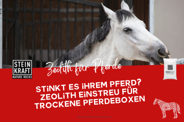 STEINKRAFT Zeolith für Pferde Blogartikel: Stinkt es Ihrem Pferd? Zeolith Einstreu für trockene Pferdeboxen.