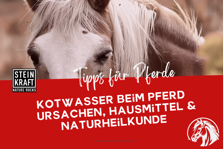 STEINKRAFT Zeolith für Pferde Blogbeitrag: Kotwasser beim Pferd - Ursachen, Hausmittel und Naturheilkunde