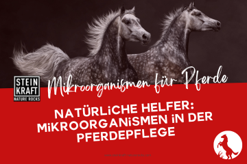 STEINKRAFT Mikroorganismen für Pferde: Natürliche Helfer in der Pferdepflege und Stallhygiene
