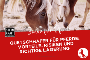 STEINKRAFT Zeolith für Pferde - Quetschhafer für Pferde: Vorteile, Risiken und richtige Lagerung - ein Fachartikel
