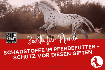 SteINKRAFT Zeolith für Pferde Blogartikel: Schadstoffe im Pferdefutter - Schutz vor diesen Giften