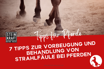 STEINKRAFT Zeolith für Pferde Blogartikel: 7 Tipps zur Vorbeugung und Behandlung von Strahlfäule bei Pferden.